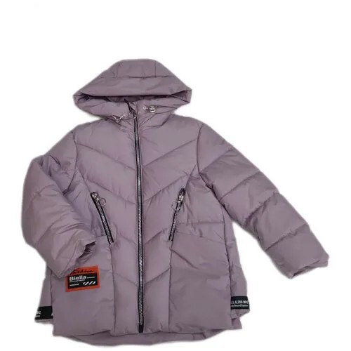 Куртка  демисезонная, размер 110, фиолетовый