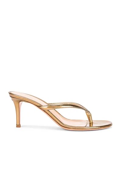 Туфли Gianvito Rossi Thongs, цвет Mekong