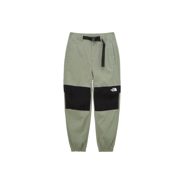 Трикотажные спортивные штаны унисекс зеленые The North Face, зеленый