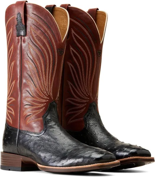 Ковбойские сапоги Brandin' Ultra Western Boot Ariat, цвет Jet Black Full Quill Ostritch