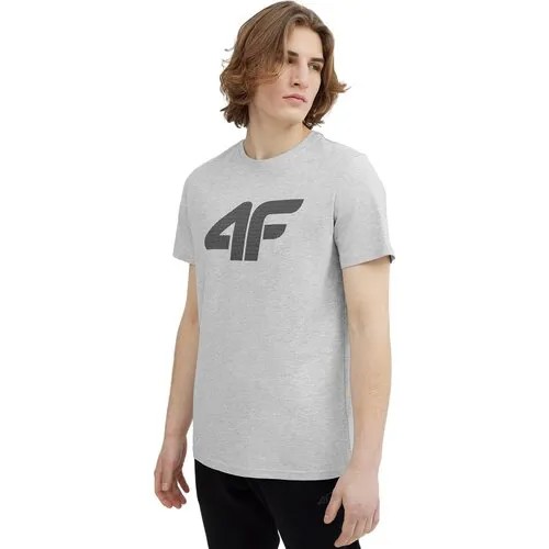 Футболка 4F, размер S, серый