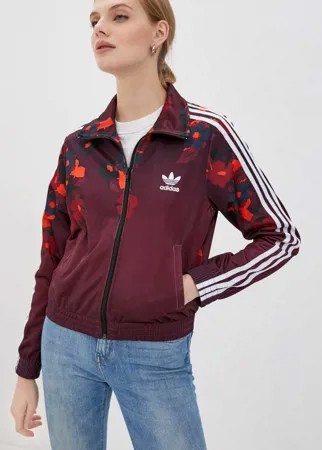 Олимпийка adidas Originals