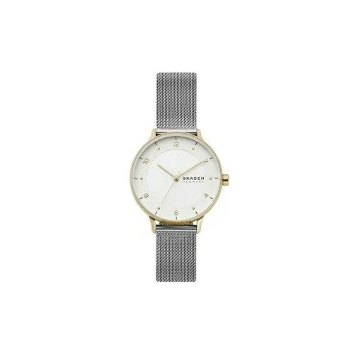 Наручные часы Skagen SKW2912