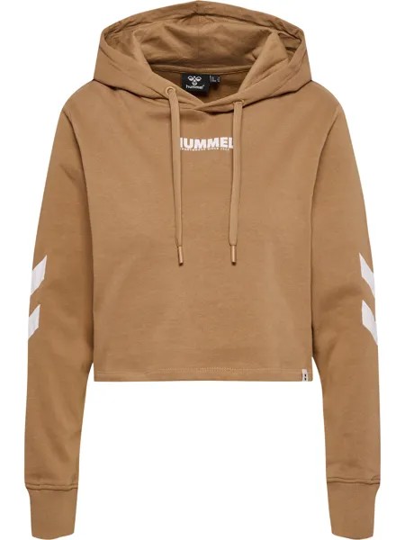Толстовка Hummel Hoodie Hmllegacy Woman Cropped Hoodie, цвет TIGERS EYE