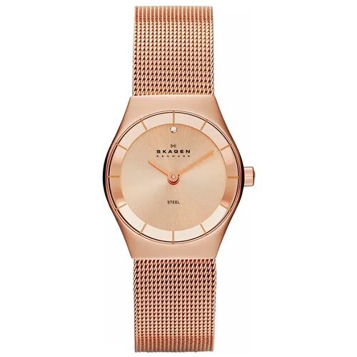 Наручные часы SKAGEN SKW2046