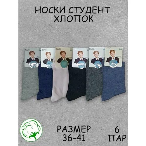 Носки Твой стиль 6 пар, размер 36-41, , мультиколор