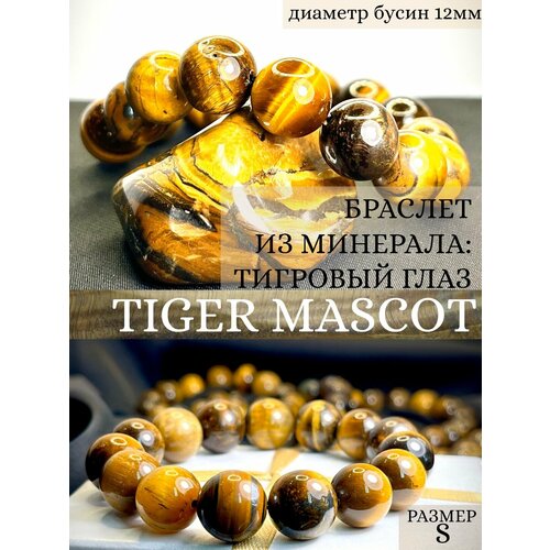 Браслет Tiger Mascot, тигровый глаз, 5 шт., размер 16 см., размер S, золотой, горчичный