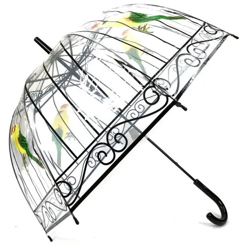 Зонт прозрачный с рисунком птицы