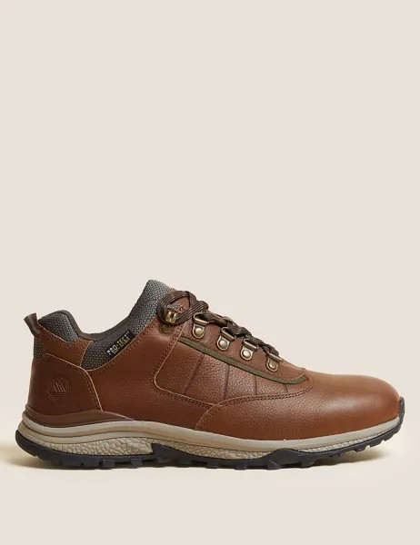 Кожаные водонепроницаемые прогулочные туфли TREK, коричневый