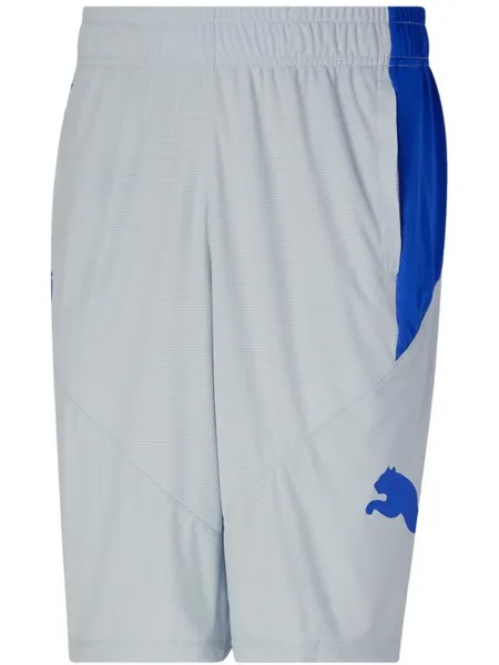 Мужские тренировочные шорты из полиэстера Puma, цвет Platinum Gray/Royal Sapphire