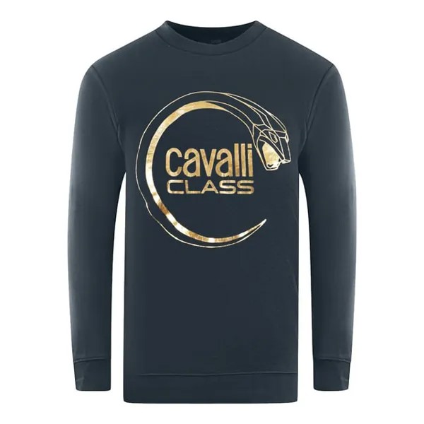 Толстовка Cavalli class в морском стиле со змеиным логотипом Cavalli Class, синий