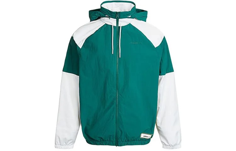 Куртка мужская лесная зеленая Adidas Neo, зеленый