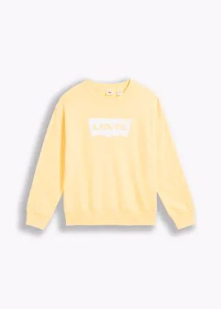Standard Graphic Crew Neck Sweatshirt