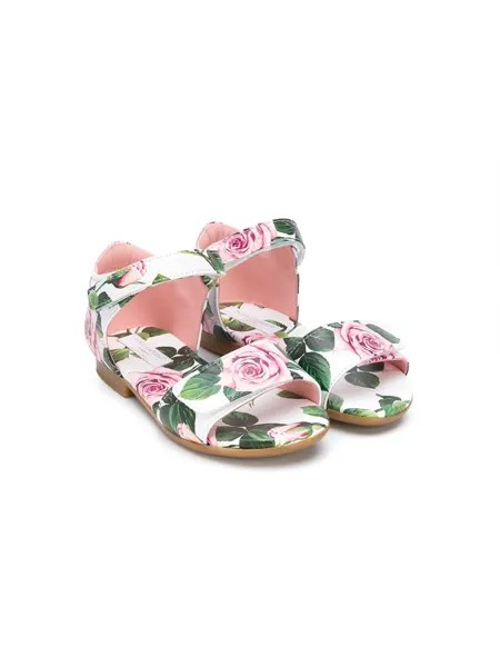 Dolce & Gabbana Kids сандалии на липучках с цветочным принтом