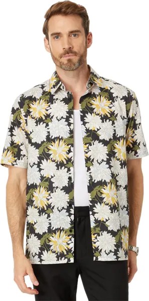 Рубашка Sallins Ted Baker, цвет Multicolor