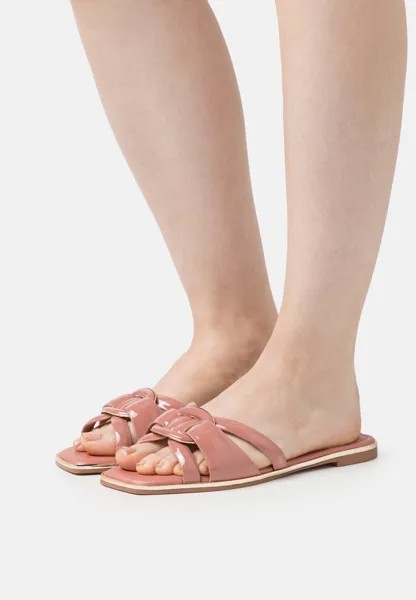 Шлепанцы ALDO