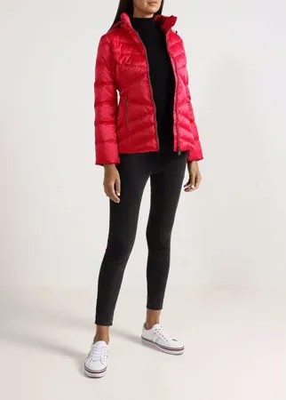 EA7 Emporio Armani Женская куртка