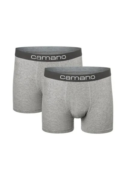 Camano боксеры 