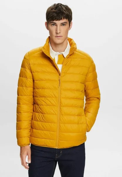 Куртка Esprit N RCS PFFR, цвет amber yellow