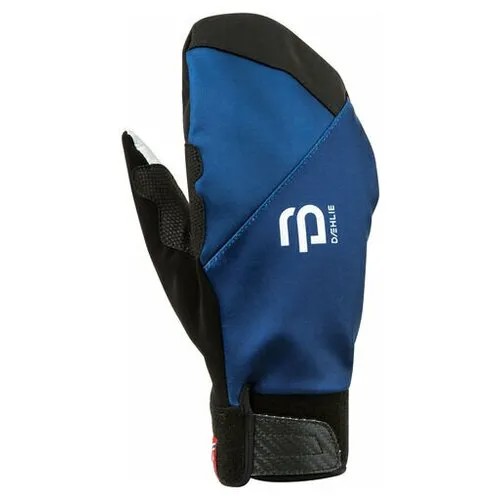 Варежки Bjorn Daehlie 2019-20 Mittens Symbol 2.0 Estate Blue 331018_25300 (L)