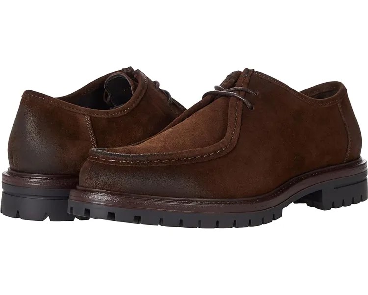 Оксфорды Bruno Magli Hopper, цвет Dark Brown Suede