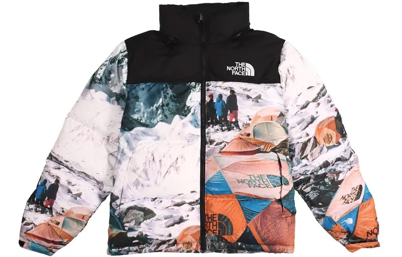 Пуховик мужской The North Face