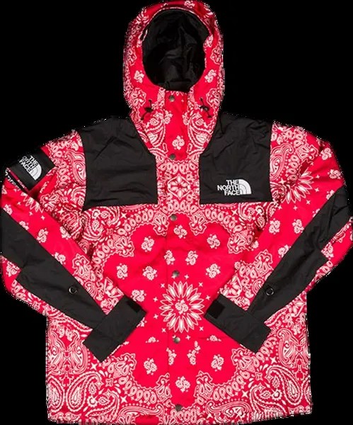 Куртка Supreme x The North Face Bandana Mountain Jacket 'Red', красный