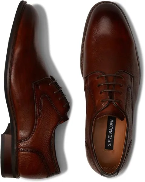 Оксфорды Bannon Steve Madden, цвет Cognac