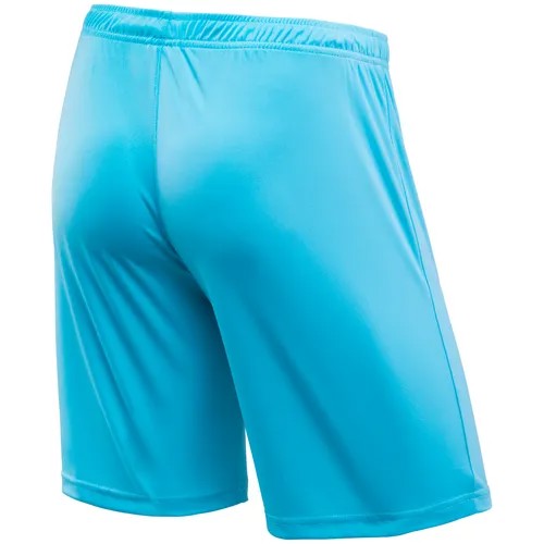 Шорты  Jogel Camp Classic Shorts, размер M, голубой