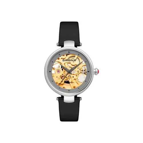 Наручные часы EARNSHAW Часы Earnshaw ES-8159-06, мультиколор, золотой