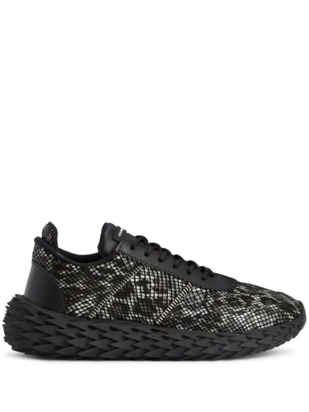 Giuseppe Zanotti кроссовки Urchin с леопардовым принтом, черный