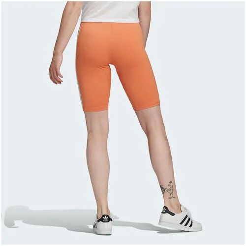 Шорты Adidas SHORT TIGHTS PB Женщины GN2798 32