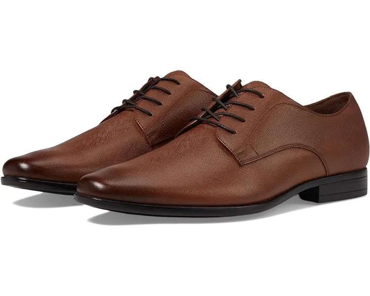 Оксфорды ALDO Nelsen, цвет Cognac