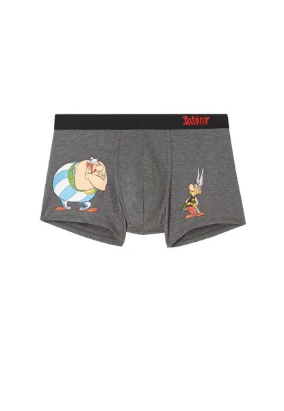 Боксеры Intimissimi ASTERIX E OBELIX, серый