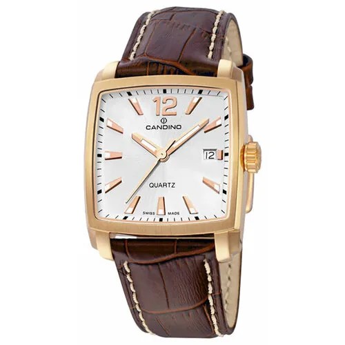 Мужские наручные часы Candino Elegance C4373.1