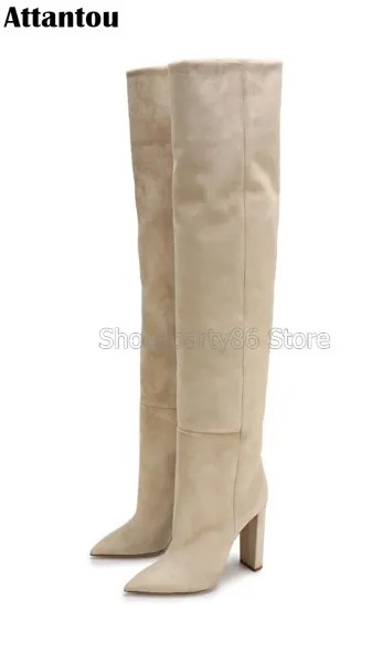 Модные дизайнерские Замшевые Кожаные ботфорты телесного цвета с острым носком на блочном каблуке, женские зимние сапоги с боковой молнией для закрытия