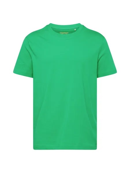 Футболка Esprit, цвет Grass Green