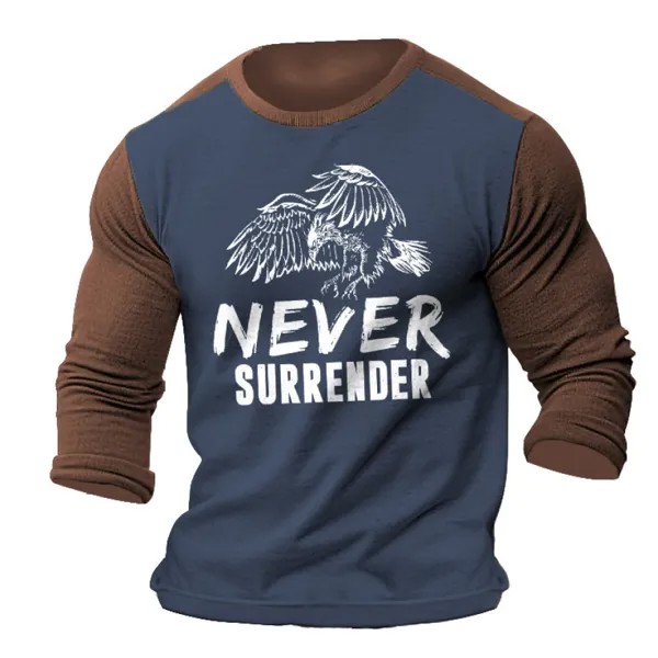 Мужская футболка Vintage Never Surrender Eagle с длинными рукавами и цветными блоками уличные повседневные топы