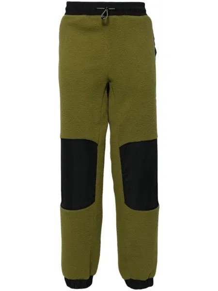 The North Face спортивные брюки M Fleeski Y2K, зеленый