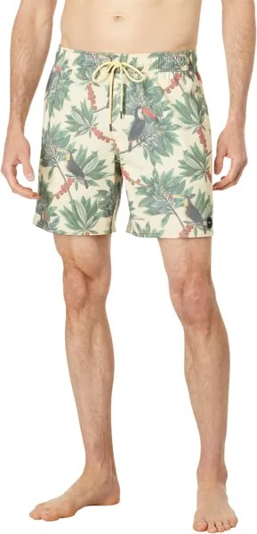 Пляжные шорты RVCA Barnes 17