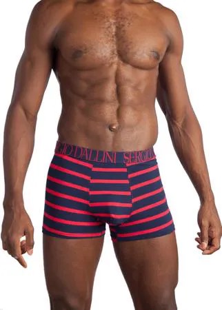 Боксеры мужские Sergio Dallini SG2929-2 синие XL