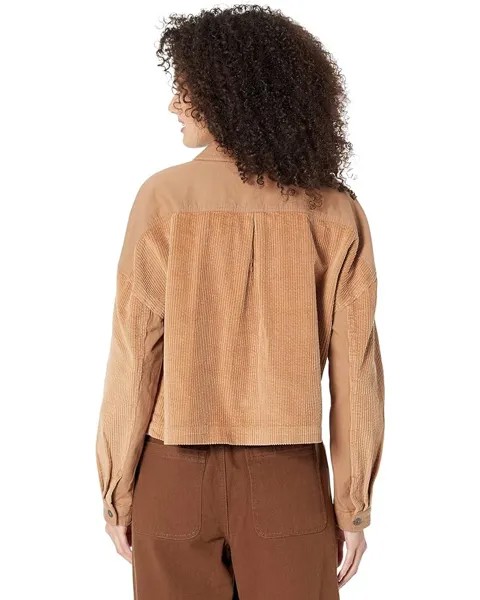 Куртка Saltwater Luxe Savi Corduroy Long Sleeve Jacket, песочный