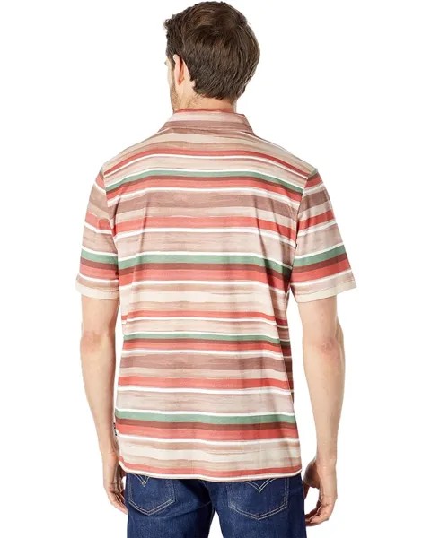 Поло Ted Baker Prebook Short Sleeve Striped Polo, мульти