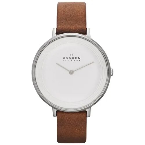 Наручные часы SKAGEN SKW2214