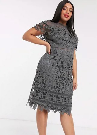 Темно-серое кружевное платье-футляр миди Chi Chi London Plus-Серый