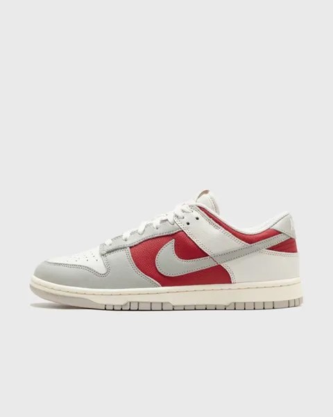 Кроссовки Nike Dunk Low Retro, цвет phantom/lt iron ore-gym red-pale iv