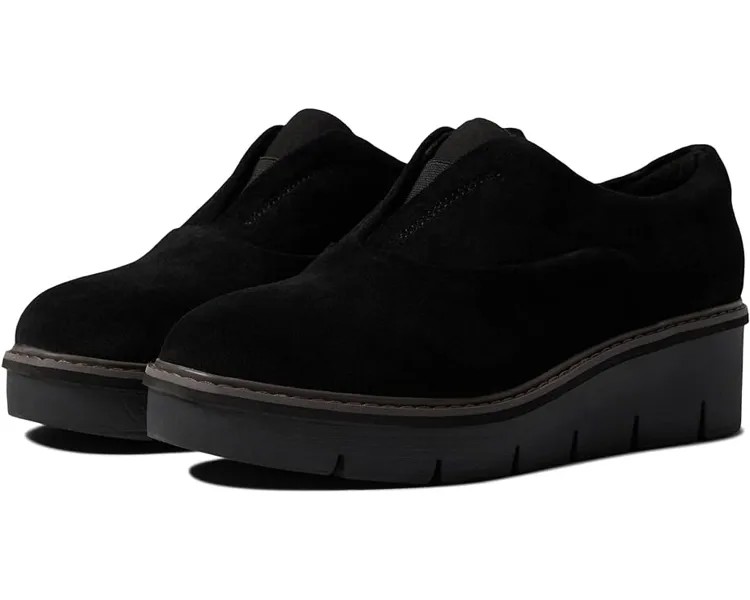 Оксфорды Clarks Airabell Sky, цвет Black Suede