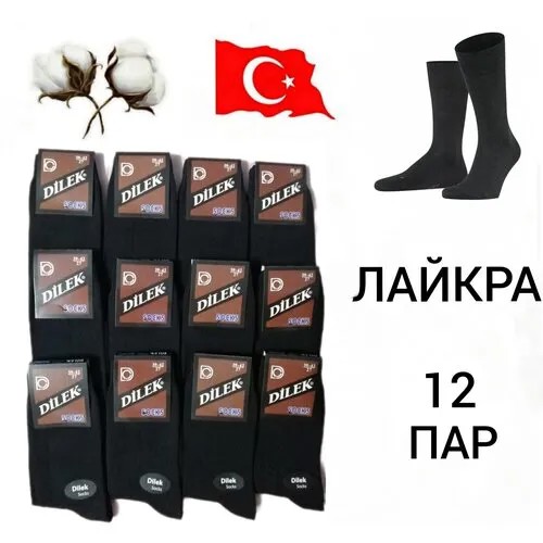 Мужские носки DILEK Socks, 12 пар, размер 39-42, черный
