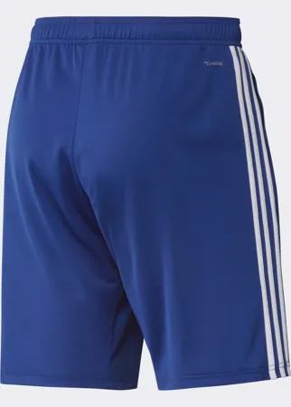 Тренировочные шорты Россия adidas Performance