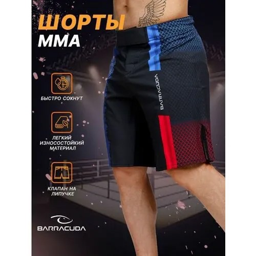 Шорты Barracuda, размер XS, синий, черный, красный